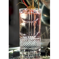 Vaso Tumbler Ópera de Cristal (6 pz.)