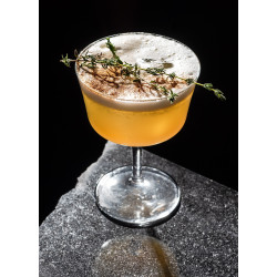 Fizz 22cl (conf. 6pz) Coppa Cocktail