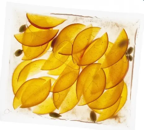 Bolsas de vacío para barra, pack de 200 - Imagen 2