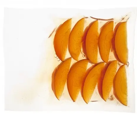 Bolsas de vacío para barra, pack de 200 - Imagen 3