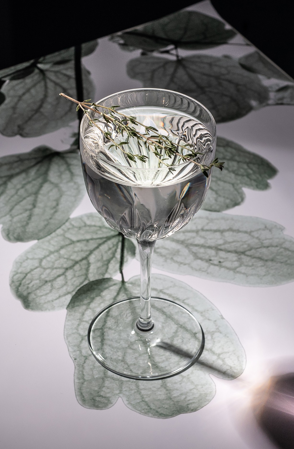 Copa Nick & Nora 15 cl de cristal, pack de 6 - Imagen 3