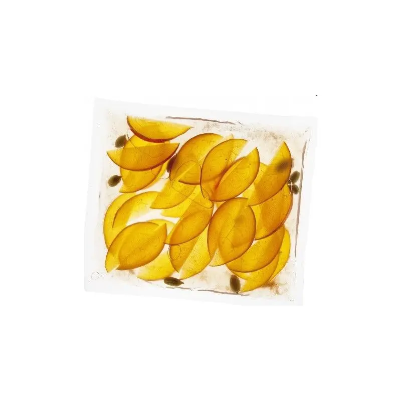Bolsas de vacío para barra, pack de 200