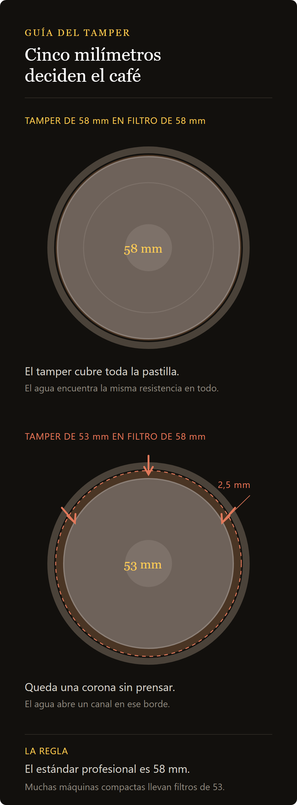 tamper de 53 mm pulido: el diámetro del tamper frente al del filtro, 53 y 58 mm comparados